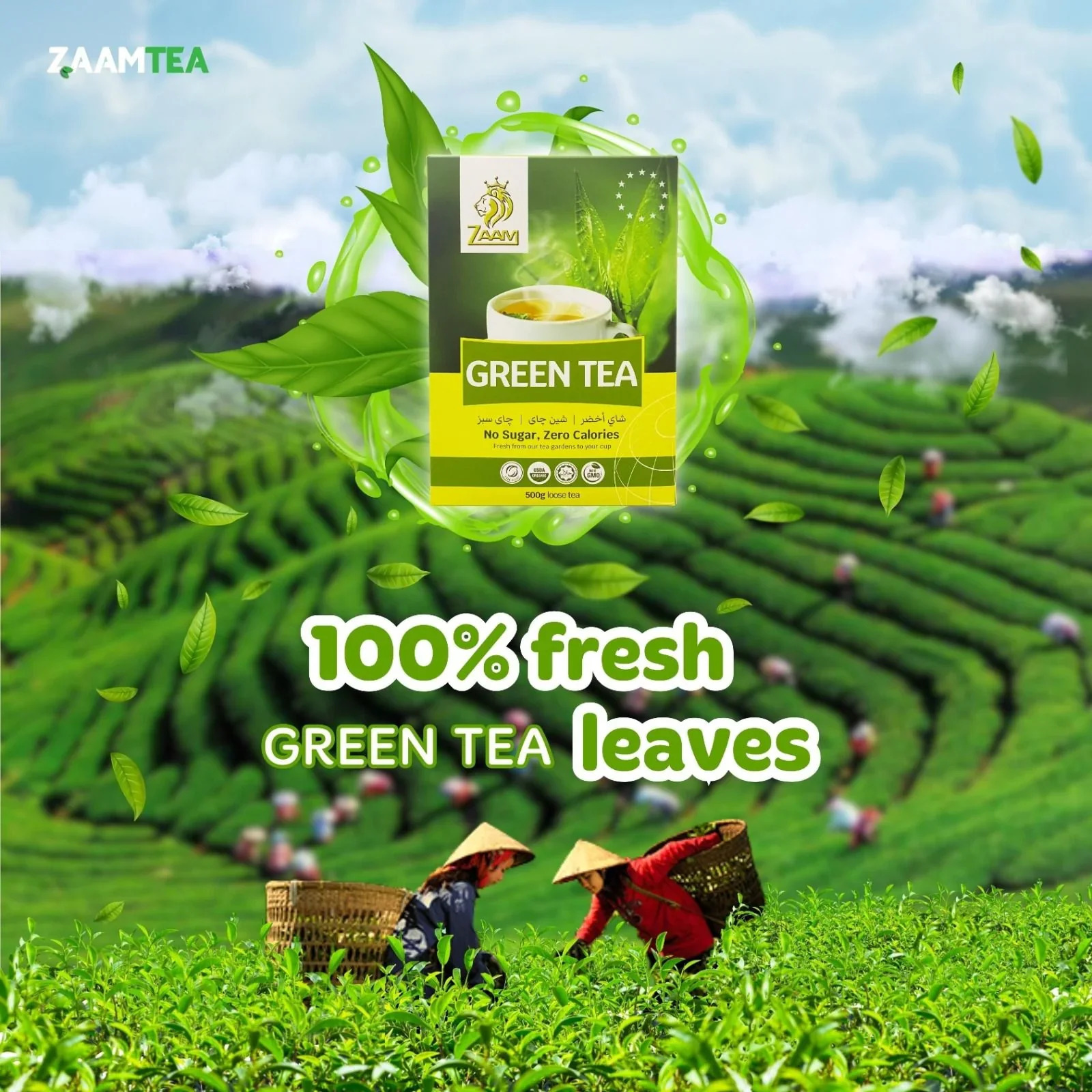 ZAAM Green Tea - No Sugar, Zero Calories 500g - Authentic Taste ...