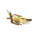 Natural Jasmine Green Tea - Loose Leaf Tea